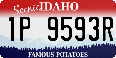 ID license plate 1P9593R