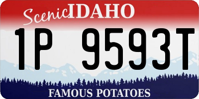 ID license plate 1P9593T