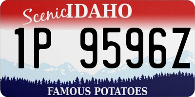 ID license plate 1P9596Z