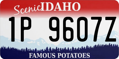 ID license plate 1P9607Z