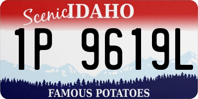 ID license plate 1P9619L
