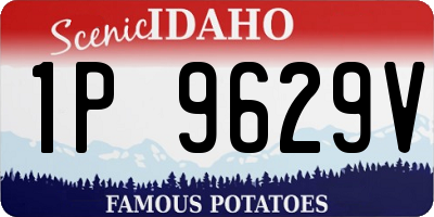 ID license plate 1P9629V