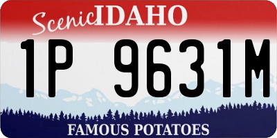 ID license plate 1P9631M