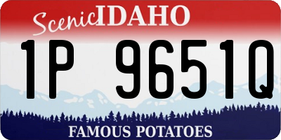 ID license plate 1P9651Q