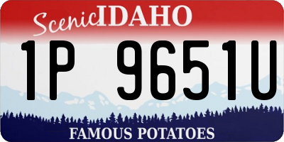 ID license plate 1P9651U