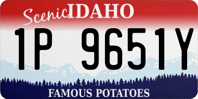 ID license plate 1P9651Y