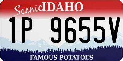 ID license plate 1P9655V