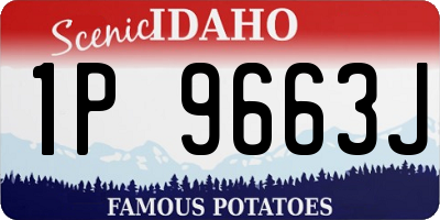 ID license plate 1P9663J