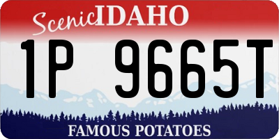 ID license plate 1P9665T