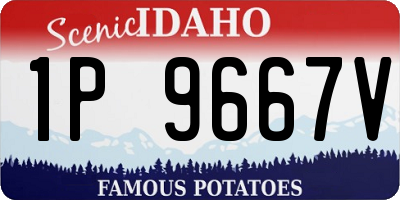 ID license plate 1P9667V