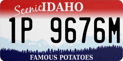 ID license plate 1P9676M