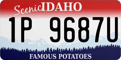 ID license plate 1P9687U