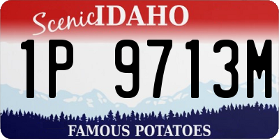 ID license plate 1P9713M