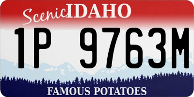ID license plate 1P9763M