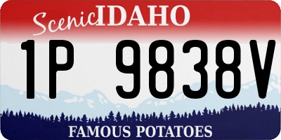 ID license plate 1P9838V
