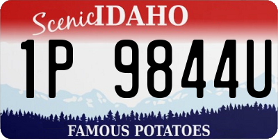 ID license plate 1P9844U