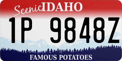 ID license plate 1P9848Z