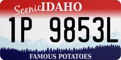ID license plate 1P9853L