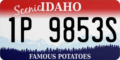 ID license plate 1P9853S