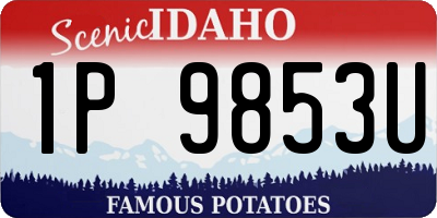 ID license plate 1P9853U