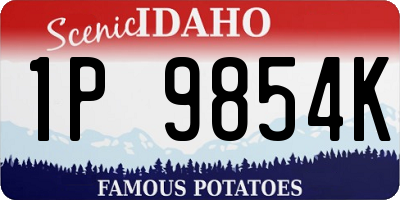 ID license plate 1P9854K
