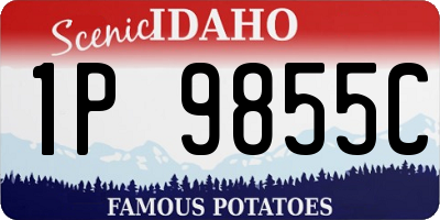 ID license plate 1P9855C