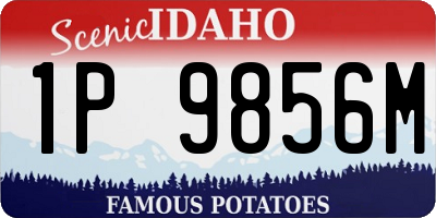 ID license plate 1P9856M