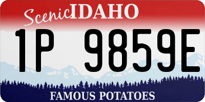 ID license plate 1P9859E
