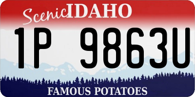 ID license plate 1P9863U