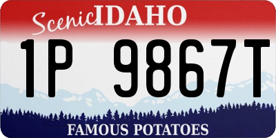 ID license plate 1P9867T
