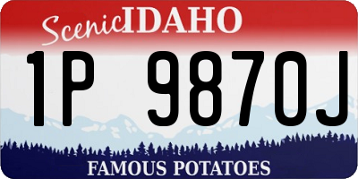 ID license plate 1P9870J