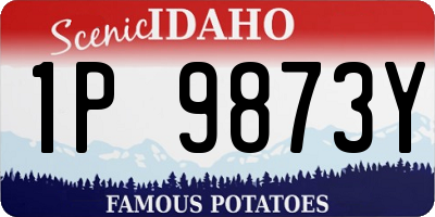 ID license plate 1P9873Y