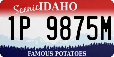 ID license plate 1P9875M