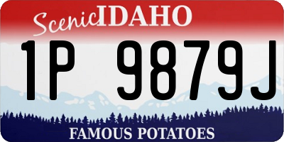 ID license plate 1P9879J