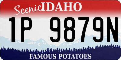 ID license plate 1P9879N