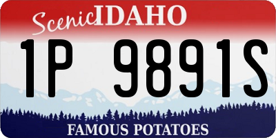 ID license plate 1P9891S