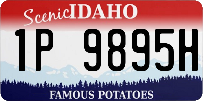 ID license plate 1P9895H