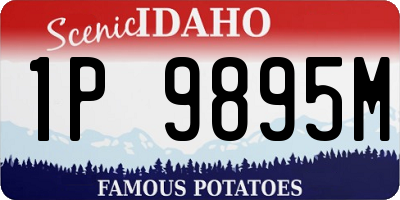 ID license plate 1P9895M