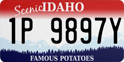 ID license plate 1P9897Y