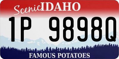 ID license plate 1P9898Q