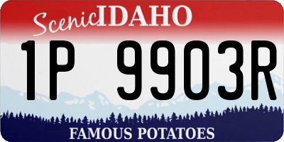 ID license plate 1P9903R