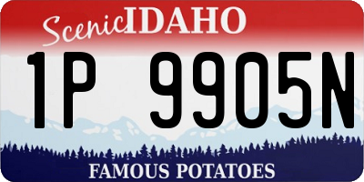ID license plate 1P9905N