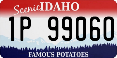 ID license plate 1P9906O