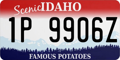 ID license plate 1P9906Z