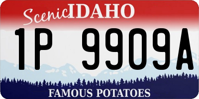 ID license plate 1P9909A