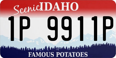 ID license plate 1P9911P