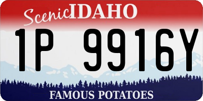 ID license plate 1P9916Y