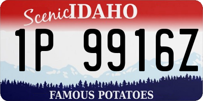ID license plate 1P9916Z