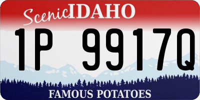 ID license plate 1P9917Q