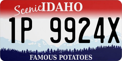 ID license plate 1P9924X